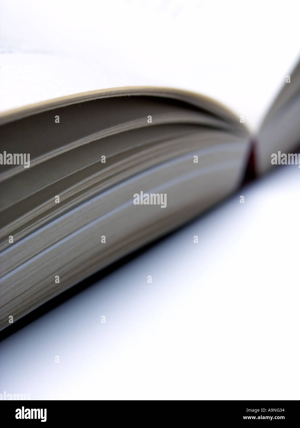 UN LIVRE OUVERT Banque D'Images