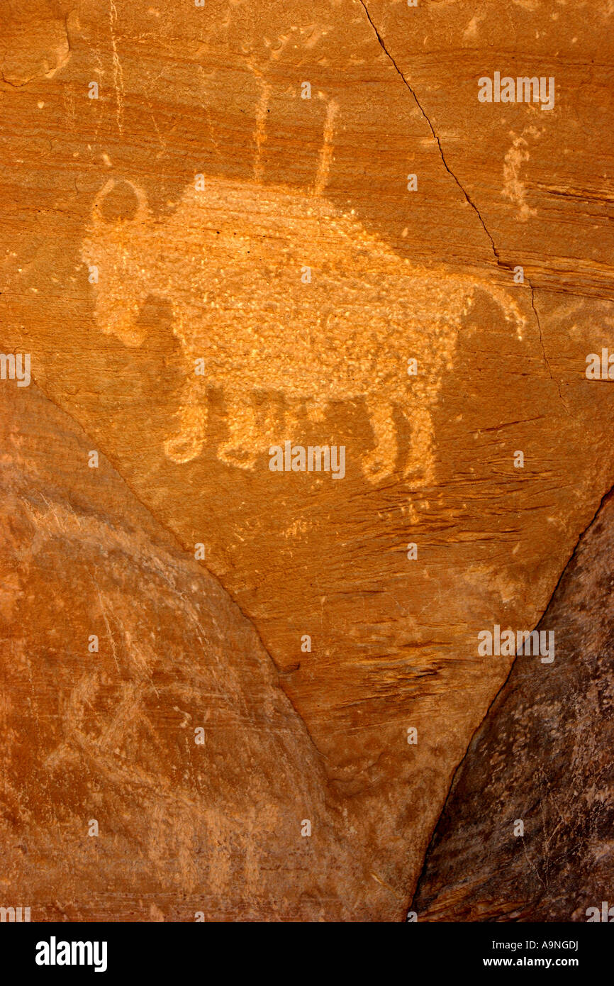 Pétroglyphes de bison, Canyonlands, Utah Banque D'Images