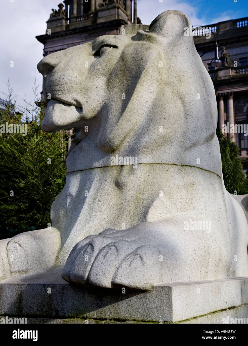 L'une des statues de lion au monument commémoratif de guerre George Square Glasgow Banque D'Images