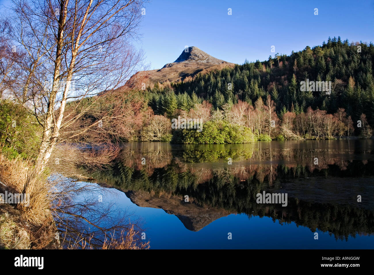 La pittoresque Lochan Glencoe est situé dans les bois juste au-dessus du village de Glencoe, Lochaber, Ecosse. Banque D'Images