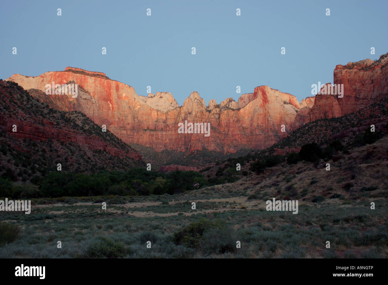 Lever du soleil sur les tours de la vierge, Zion National Park, Utah Banque D'Images