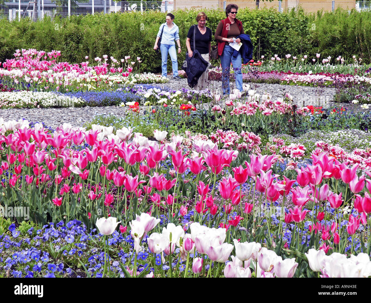 Jardin Bundesgartenschau Voir exposition à Munich Allemagne Europe Banque D'Images