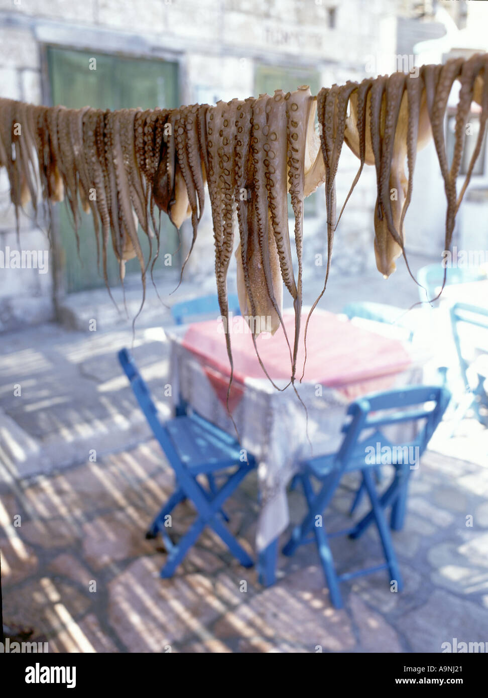 Octopus le séchage sur une ligne au-dessus de table et chaises bleues en Grèce Banque D'Images