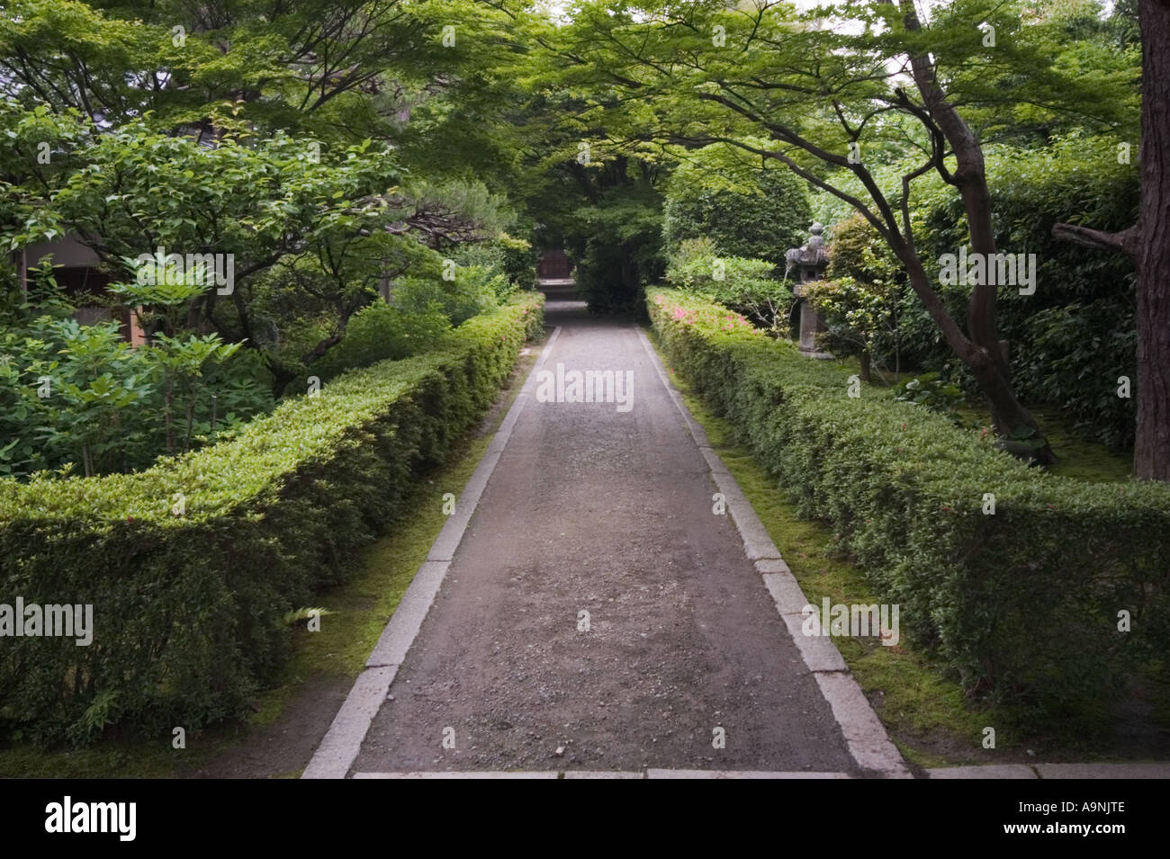 Chemin bordé d'arbustes au complexe du Temple Myoshin-ji, Kyoto, Japon Banque D'Images