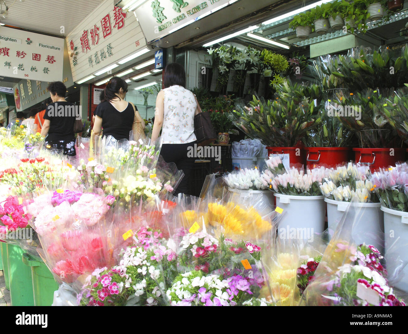 Chine Hong Kong Kowloon Mong Kok Flower Market Road Banque D'Images