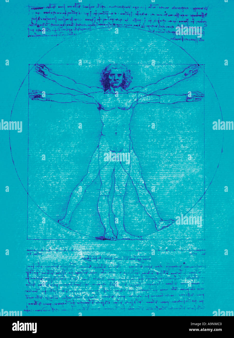 DaVinci dessin du corps de l'homme Banque D'Images