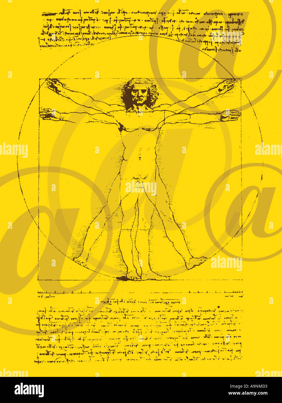 DaVinci dessin du corps de l'homme Banque D'Images