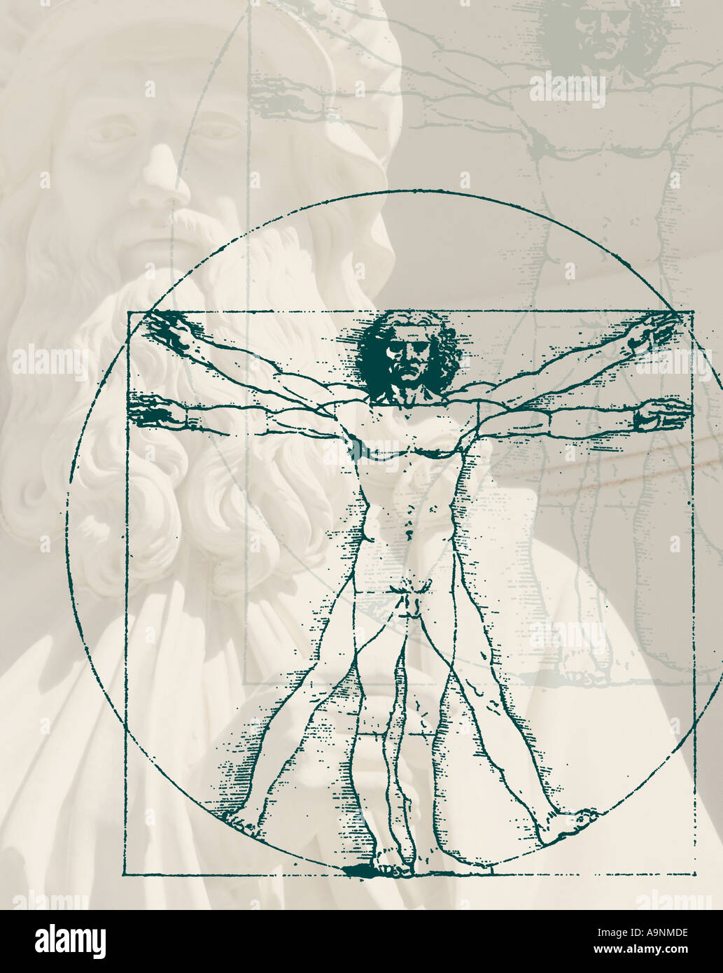 DaVinci dessin du corps de l'homme Banque D'Images