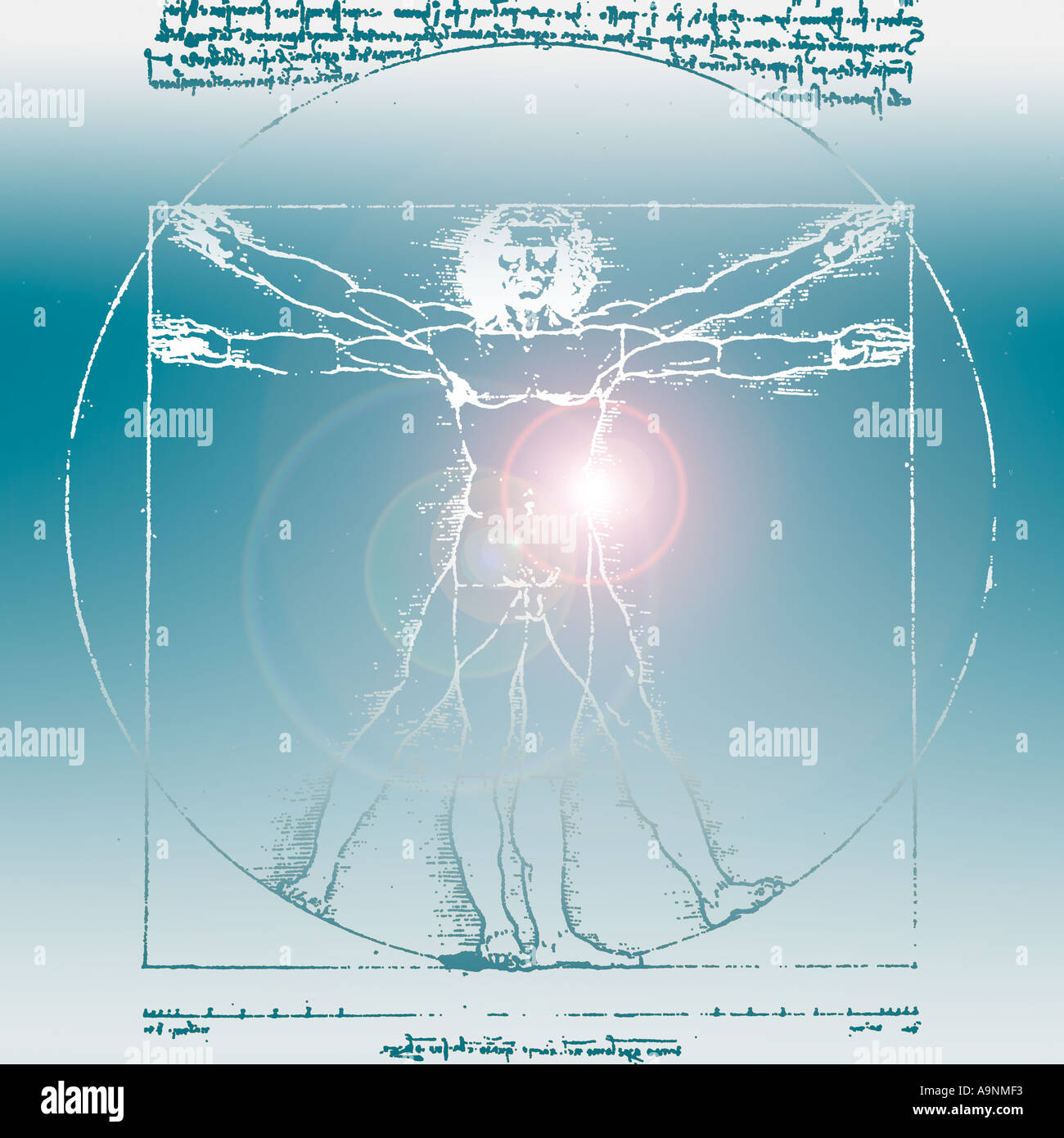DaVinci dessin du corps de l'homme Banque D'Images