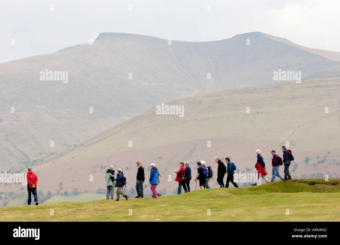 Les promeneurs sur Mynydd commun Illtyd près de Brecon Powys Pays de Galles UK GO vers Pen Y Fan et du maïs Banque D'Images