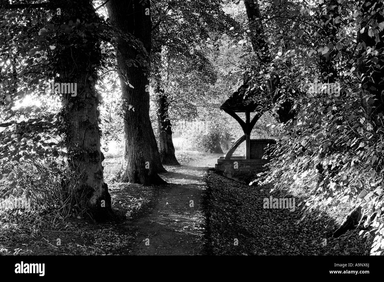 Photographie en noir et blanc d'village chemin à travers les tilleuls avec église litch gate Banque D'Images