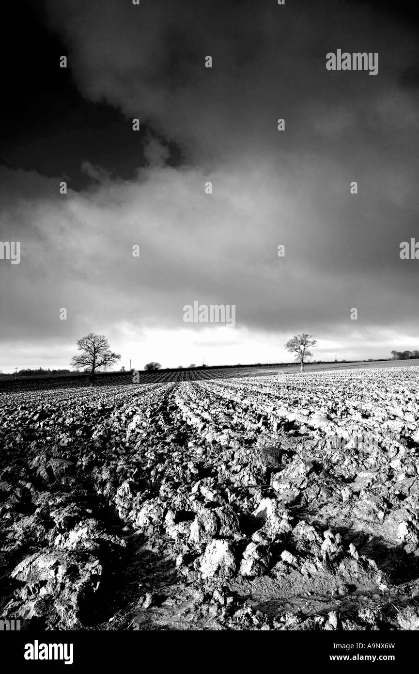 Le noir et blanc paysage de champs labourés et un ciel nuageux ciel d'hiver Banque D'Images