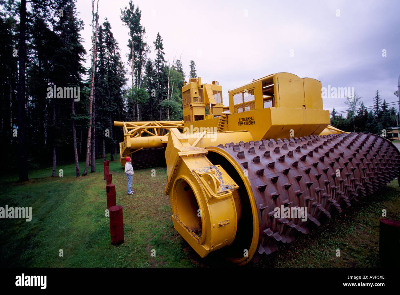 Le plus grand Concasseur arbre Le Tourneau - G175 - Mackenzie Northern British Columbia Canada Banque D'Images