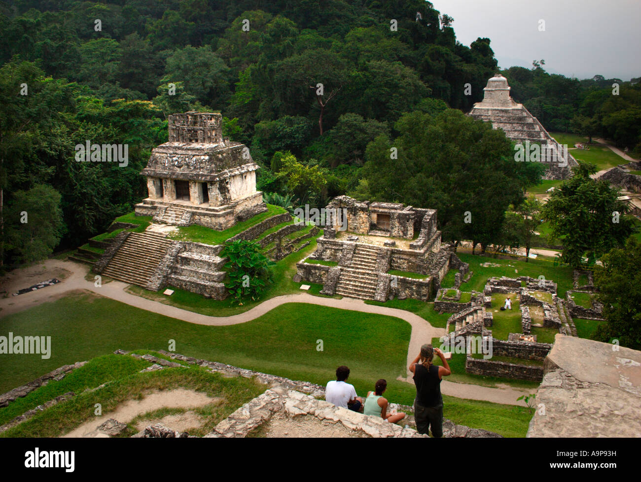 Palenque, temples, groupe ruine archéologique maya, Chiapas, Mexique Banque D'Images