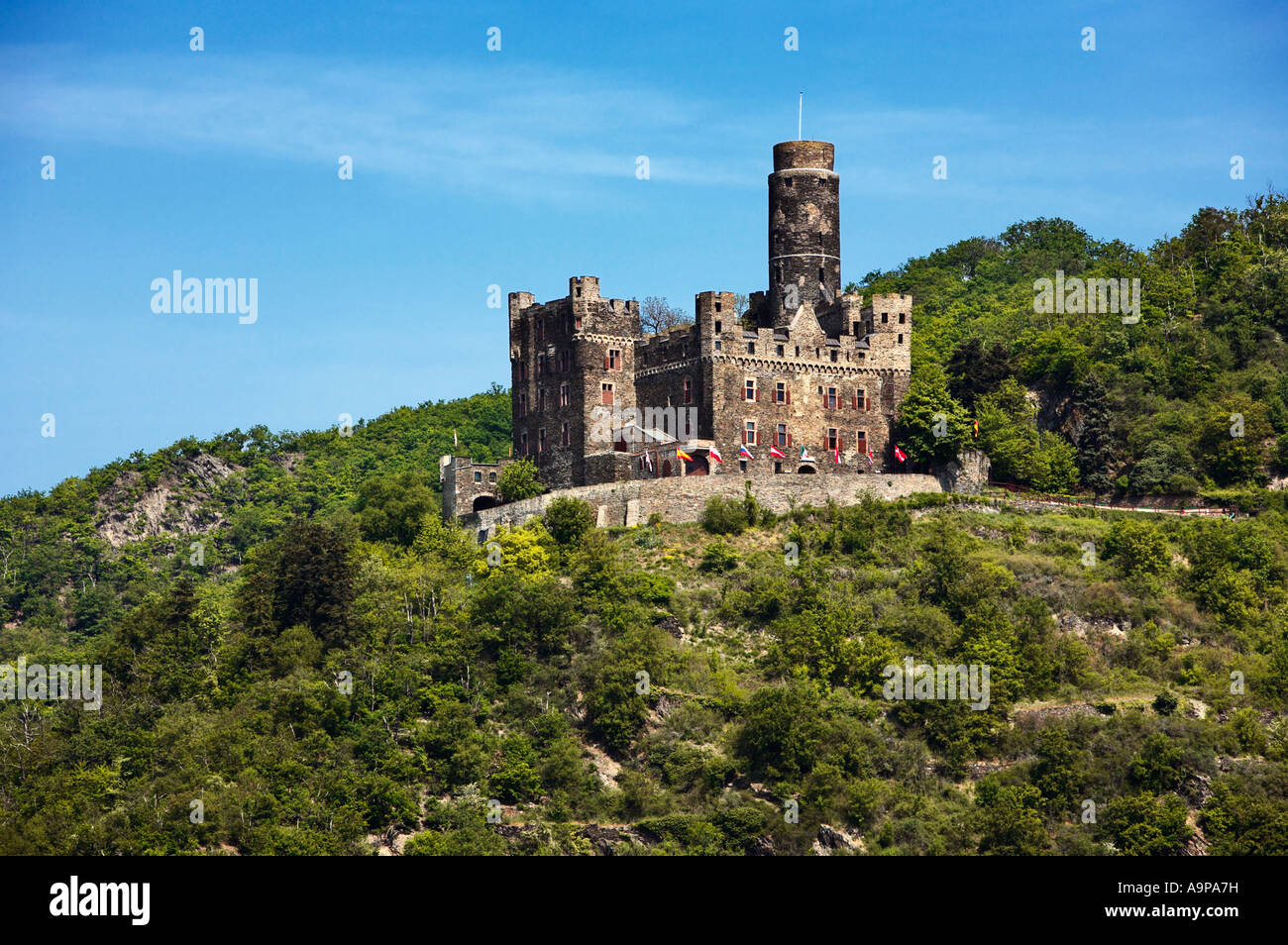 Château Maus, Château du Rhin, dans la vallée du Rhin au-dessus du village de Wellmich, Rhénanie, Allemagne Europe Banque D'Images