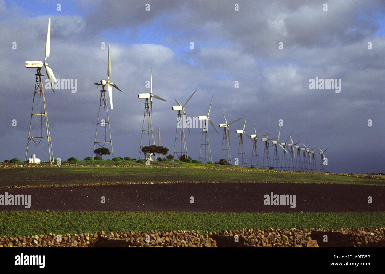 Wind farm Lanzarote Banque D'Images