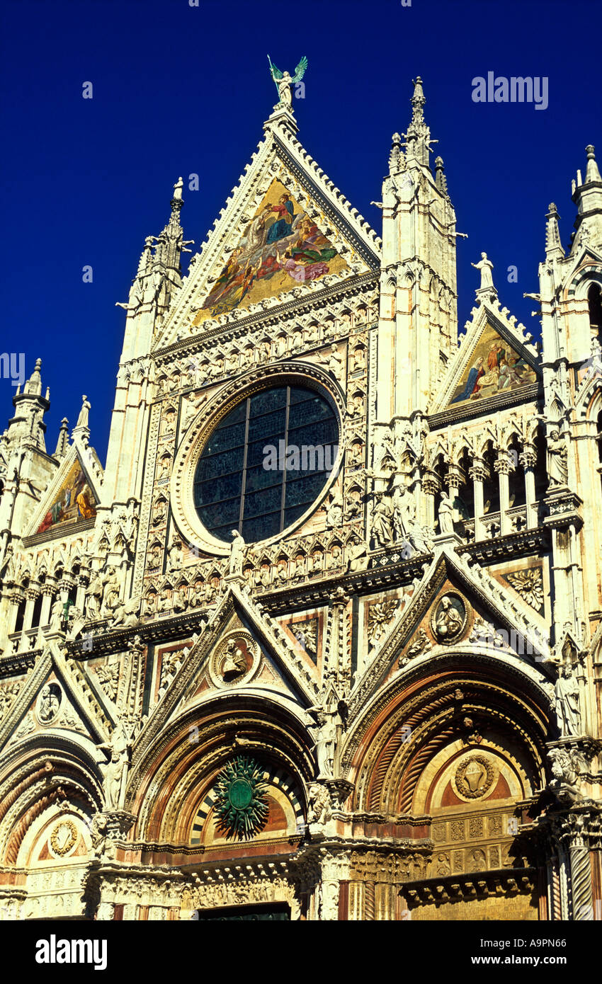 Le Duomo de Sienne Italie Banque D'Images