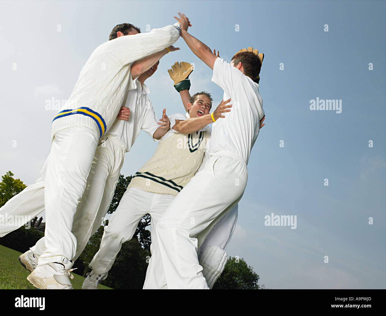 Cricketers célébrant Banque D'Images Cricketers célébrant Banque D'Images
