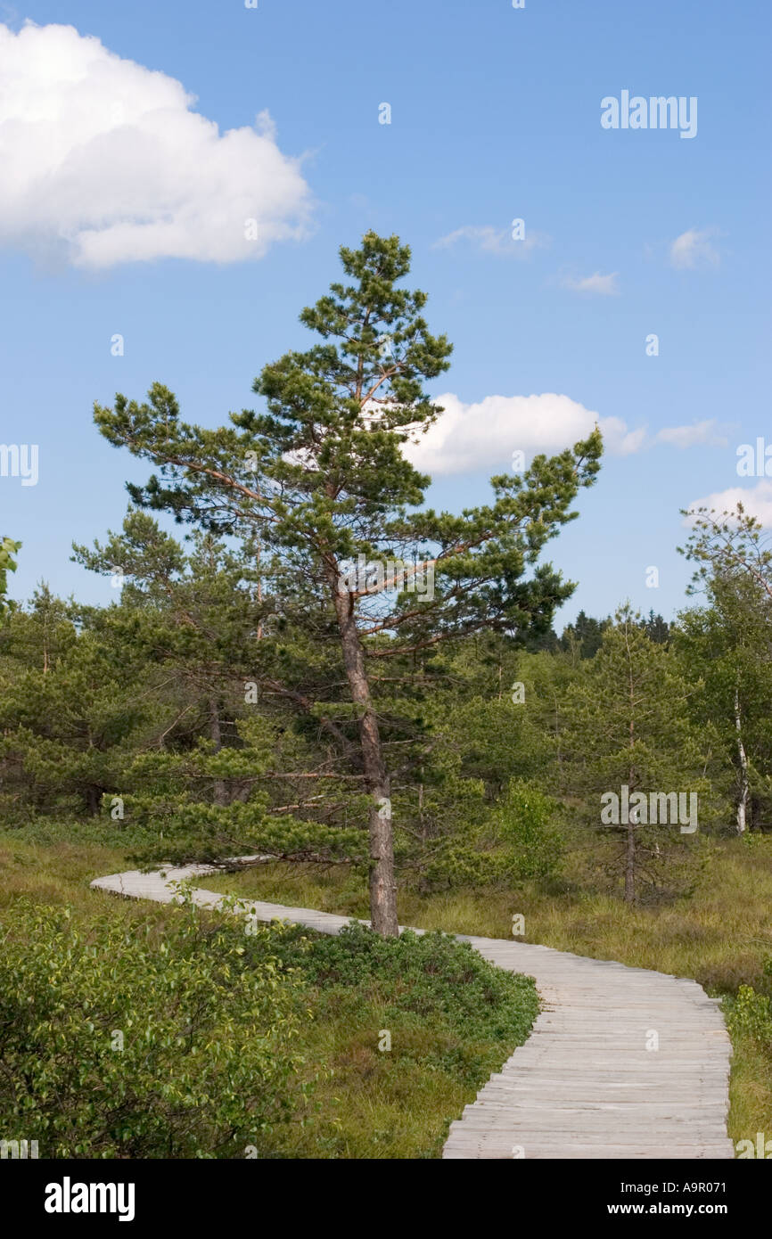 Hohe Rhön Black Moor Allemagne Franconie Banque D'Images