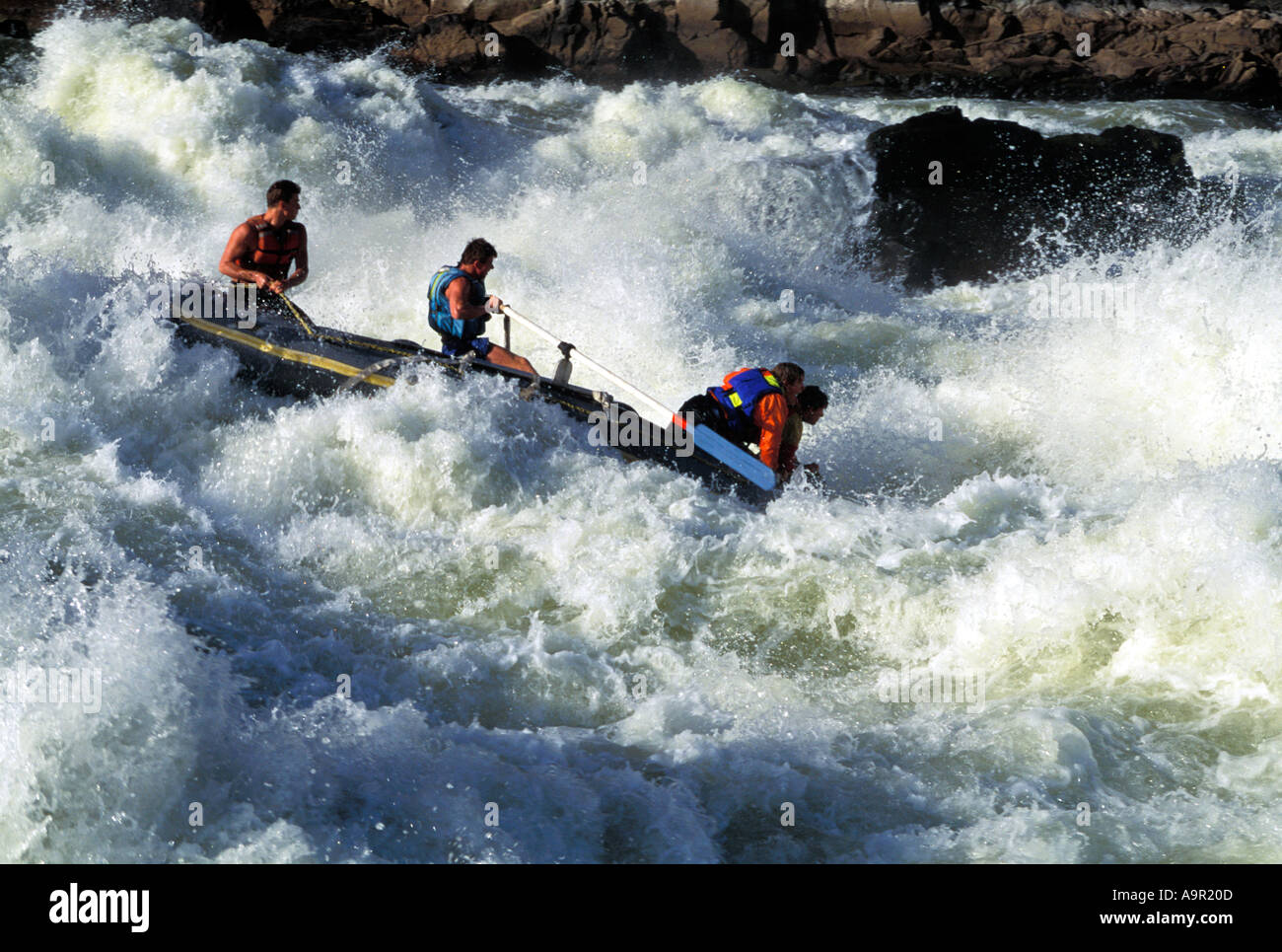 Le rafting sur la rivière Zambèze entre le Zimbabwe et la Zambie Banque D'Images