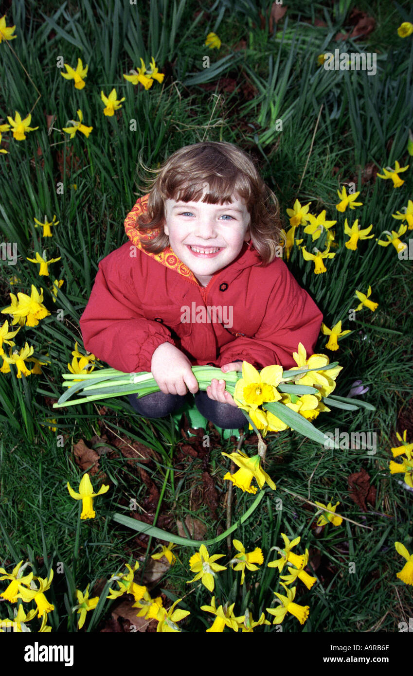 Jeune fille dans le champ de jonquilles, Middlesex, Royaume-Uni. Banque D'Images