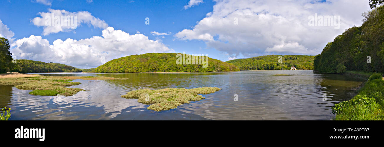Panorama de l'estuaire de l'Erme à marée haute au printemps. South Devon Royaume-Uni Banque D'Images