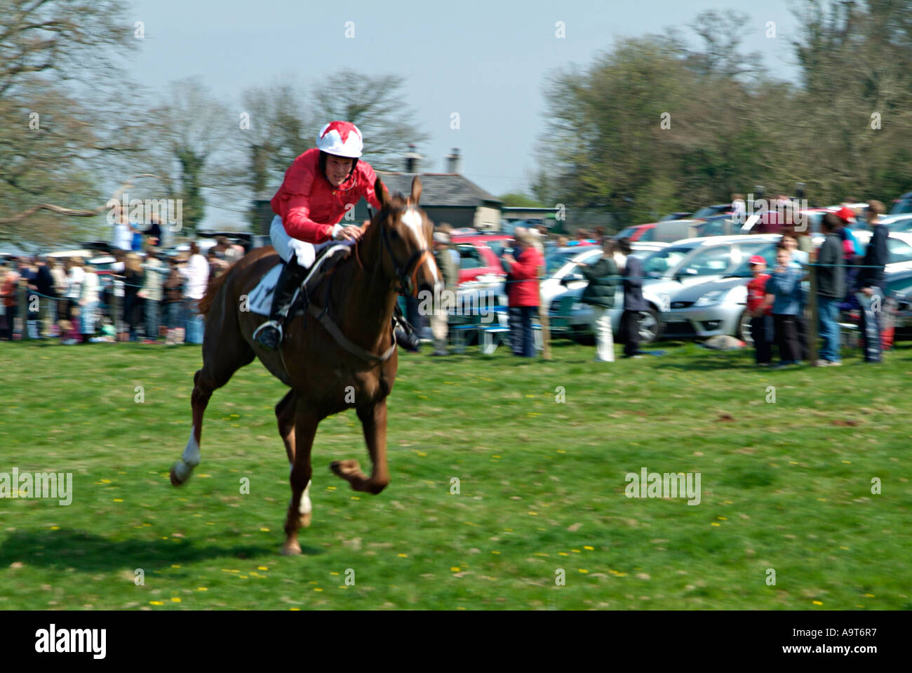 Courses de chevaux et de jockey pour la ligne d'arrivée lors d'une réunion point-à-point dans la campagne du sud du Devon. ROYAUME-UNI Banque D'Images