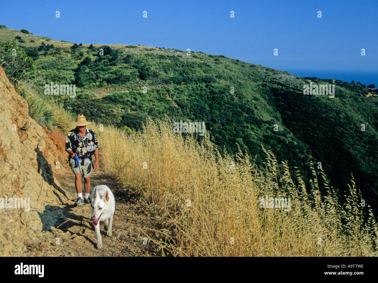 Randonneur et de chien au Solstice Canyon à Malibu, Californie Banque D'Images