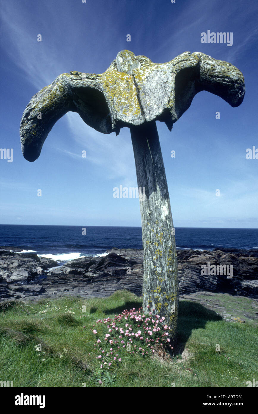 Îles Orkney Baleine Banque D'Images