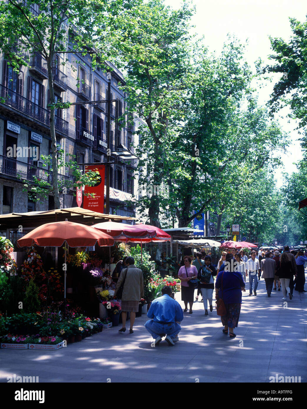Stands de fleurs LAS RAMBLAS BARCELONA LA CATALOGNE ESPAGNE Banque D'Images