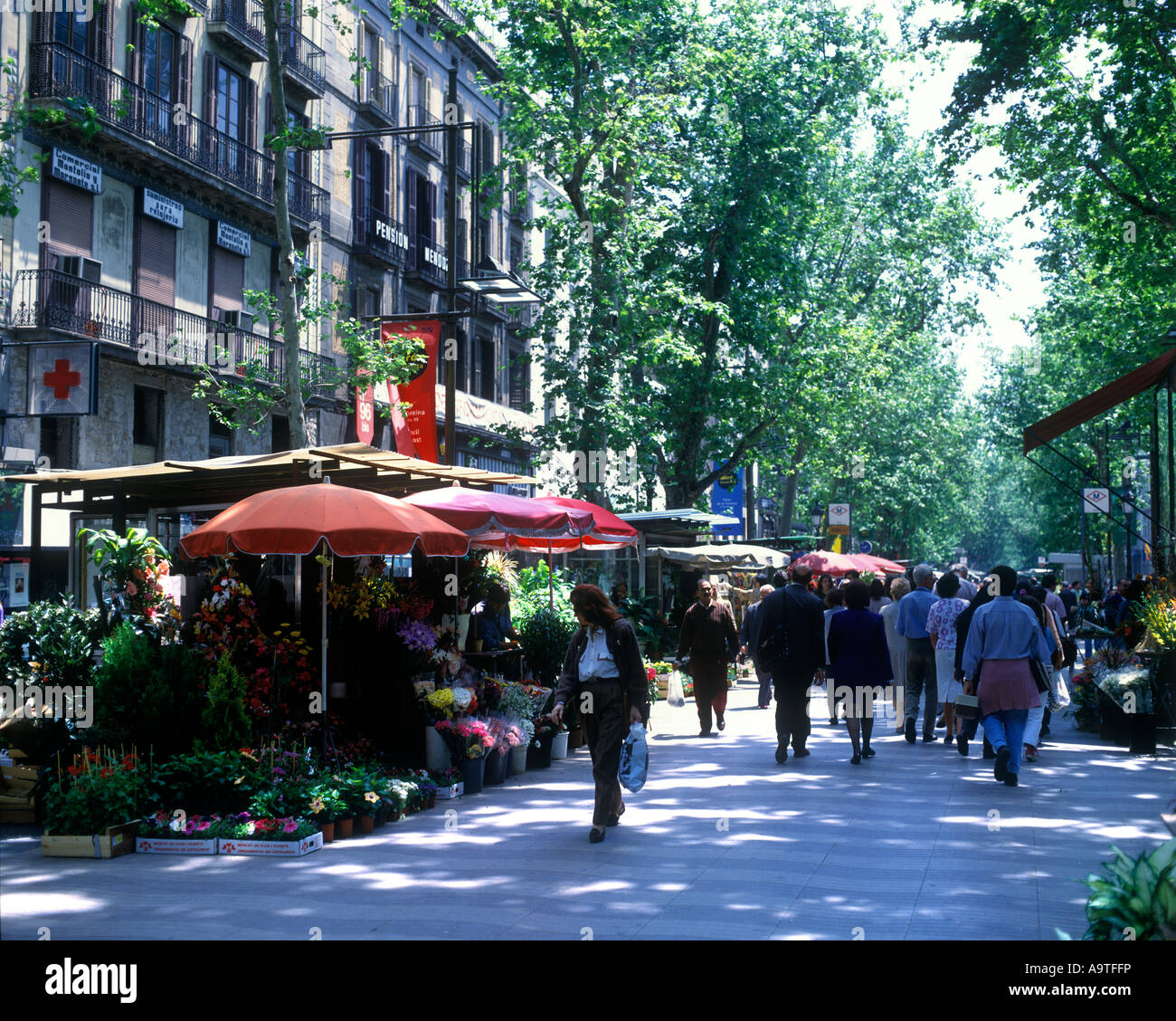 Stands de fleurs LAS RAMBLAS BARCELONA LA CATALOGNE ESPAGNE Banque D'Images
