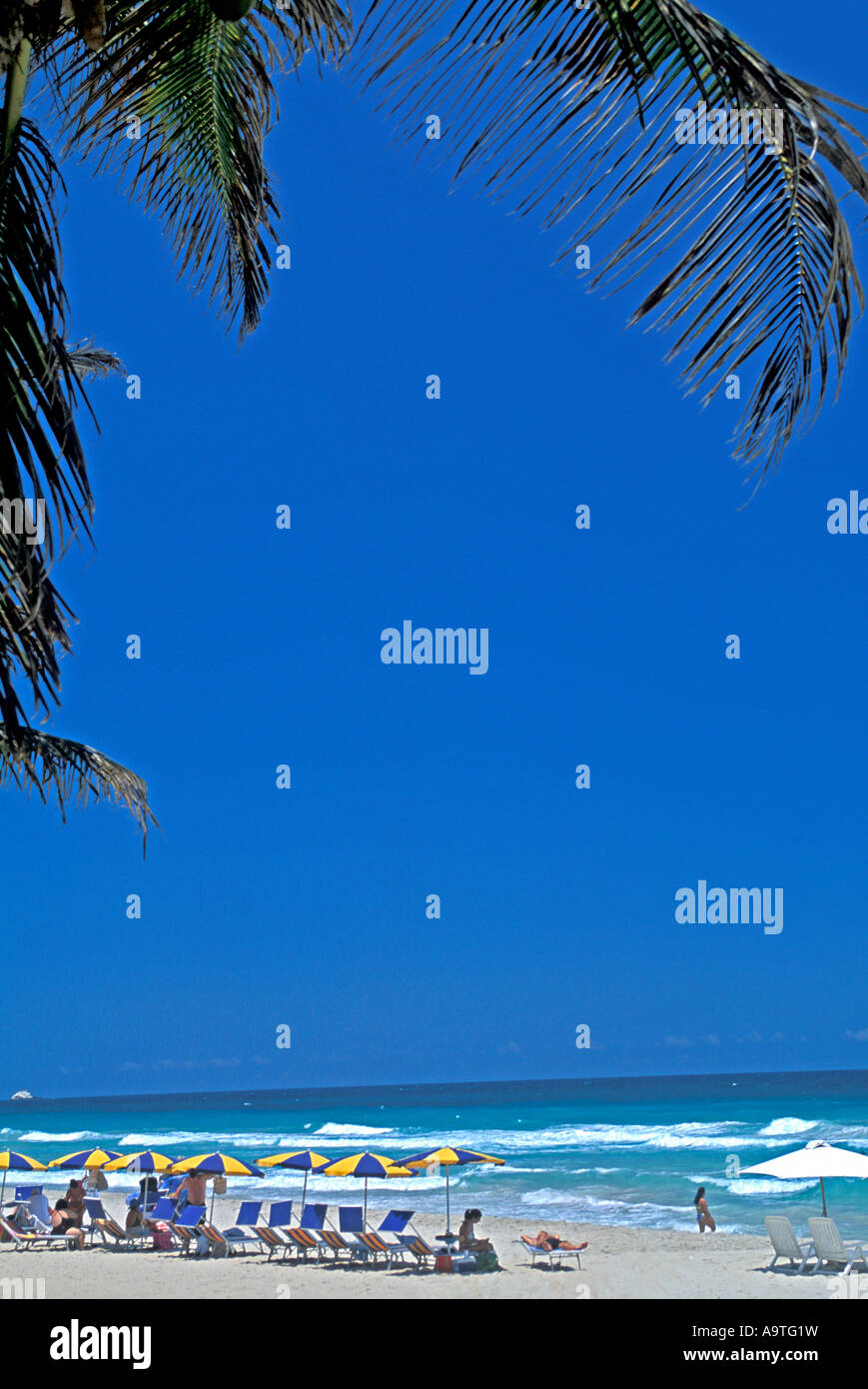 L'île de Isla Margarita Venezuela Playa El Aqua chaises de plage touristes océan soleil aire touristique populaire en Amérique du Sud Banque D'Images