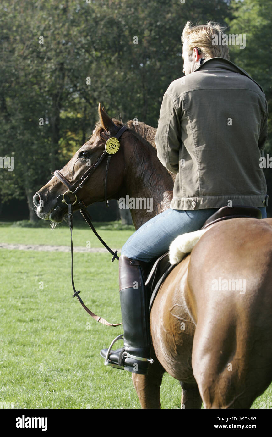 Rider à propos d'exercer son cheval. Banque D'Images