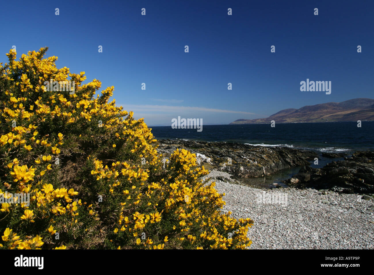 À partir de l'île d'Arran, Ecosse, Skipness Kintyre Banque D'Images