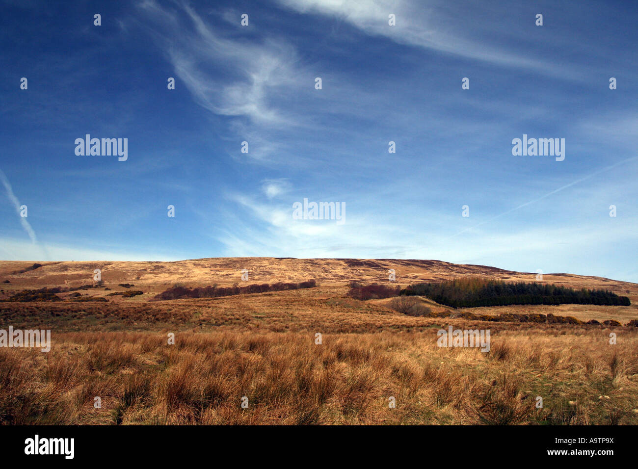 Paysage agricole près de Kintyre, Ecosse, Skipness Banque D'Images