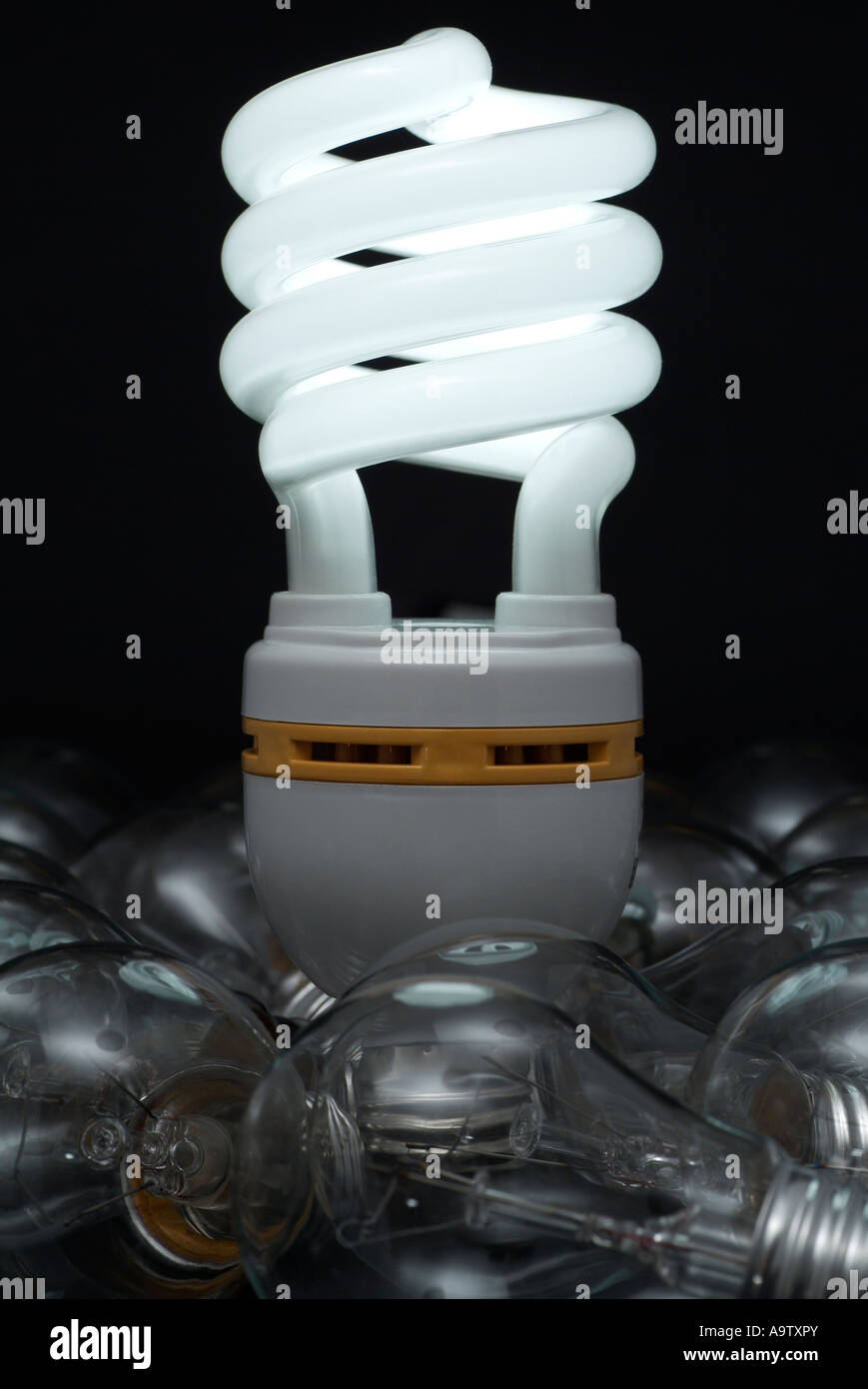 Ampoule écoénergétique entouré d'ampoules tungstène normale Banque D'Images