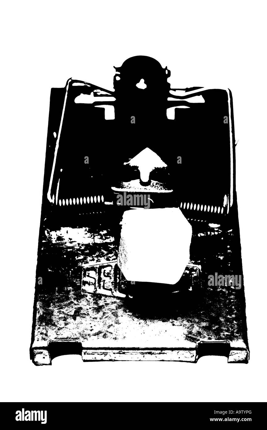 Piège à Souris, appâtés avec du fromage Banque D'Images