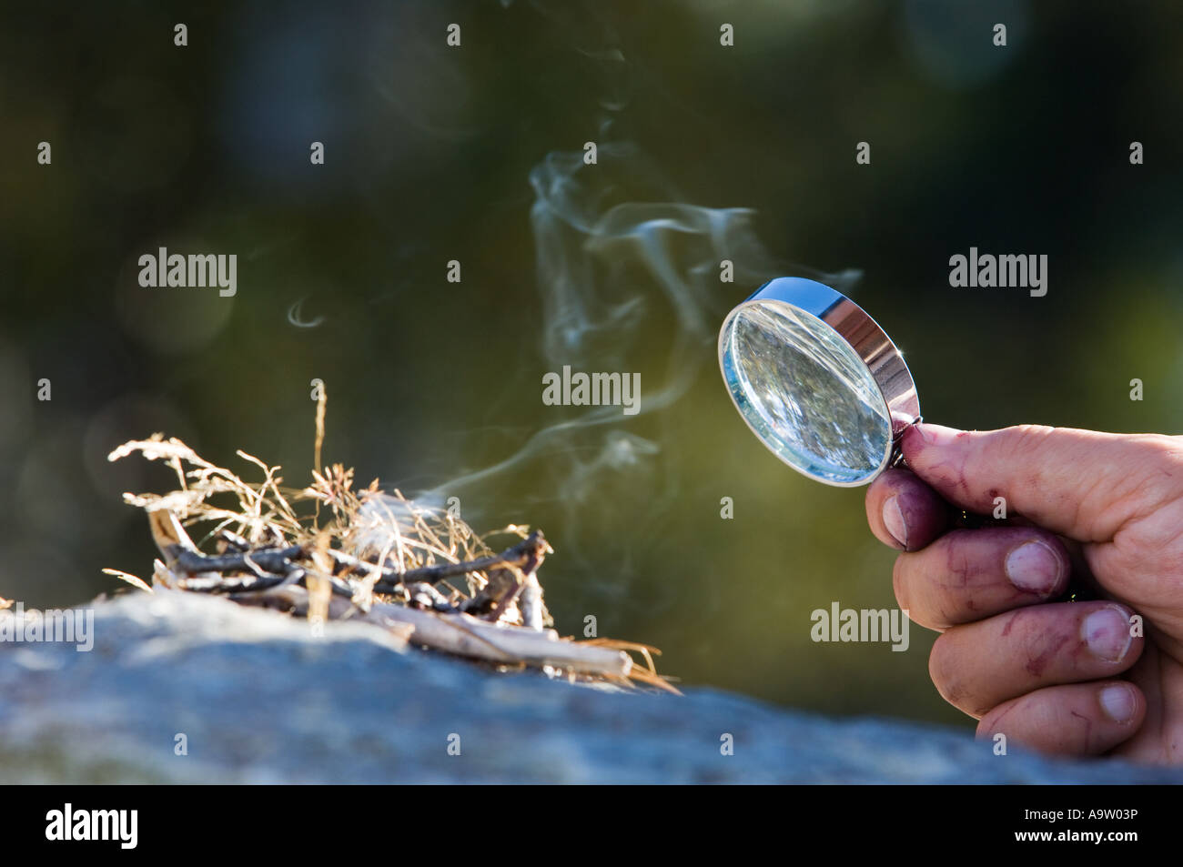 Allumer un feu avec une loupe Photo Stock - Alamy