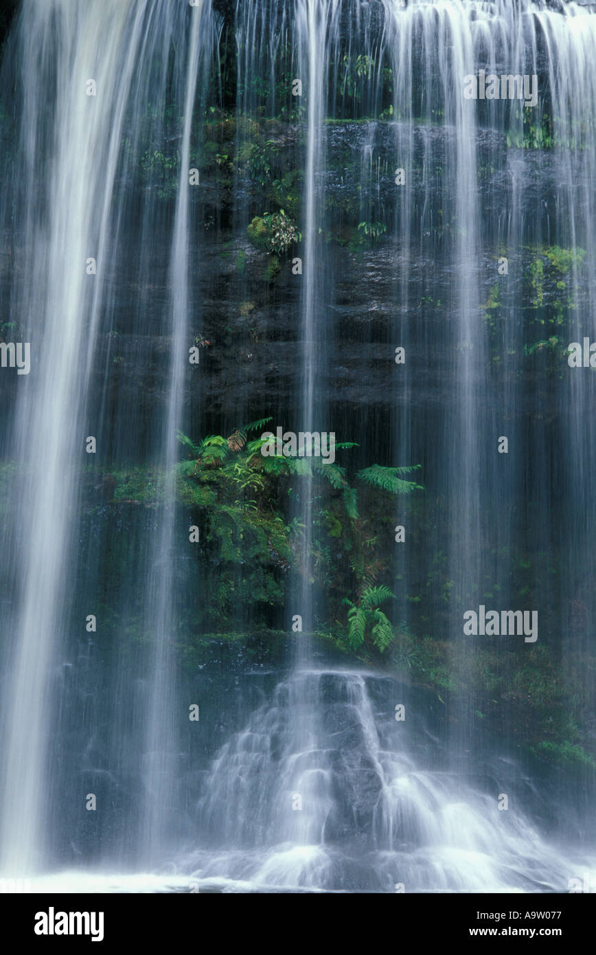 Russell Falls Parc national du mont Field Tasmanie Australie Banque D'Images