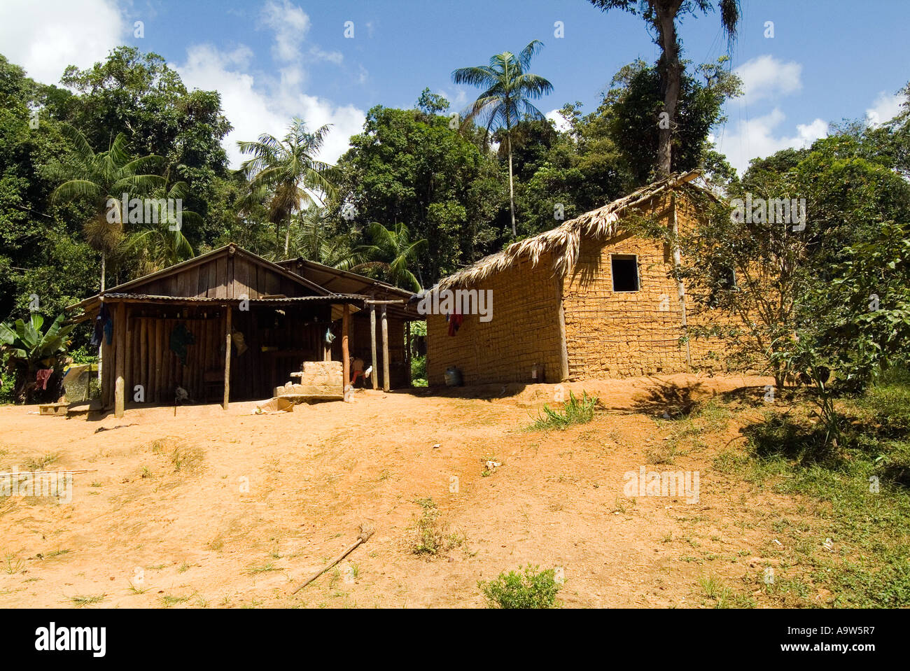 Maison indienne Guarani Boa Vista dans la forêt tropicale atlantique Etat de Sao Paulo Brésil Banque D'Images