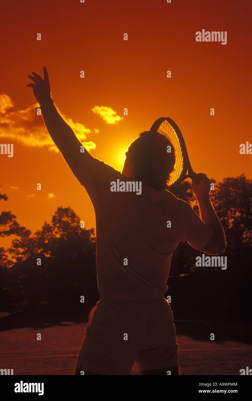 Joueur de tennis AU SERVICE DES HOMMES ADULTES Banque D'Images