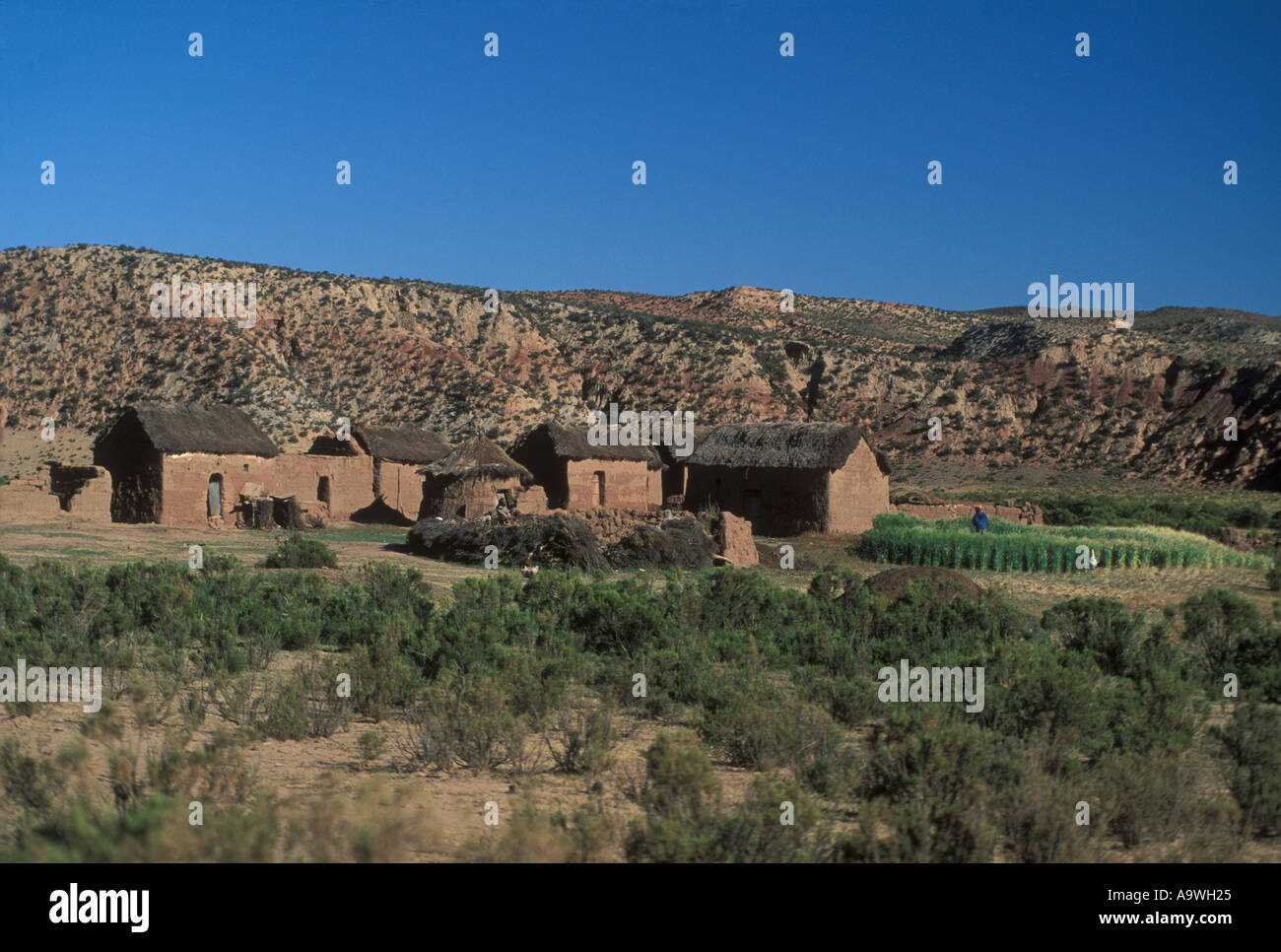 Petite ferme avec des maisons d'argile, le long de la route de l'Altiplano au Chili, Bolivie Banque D'Images