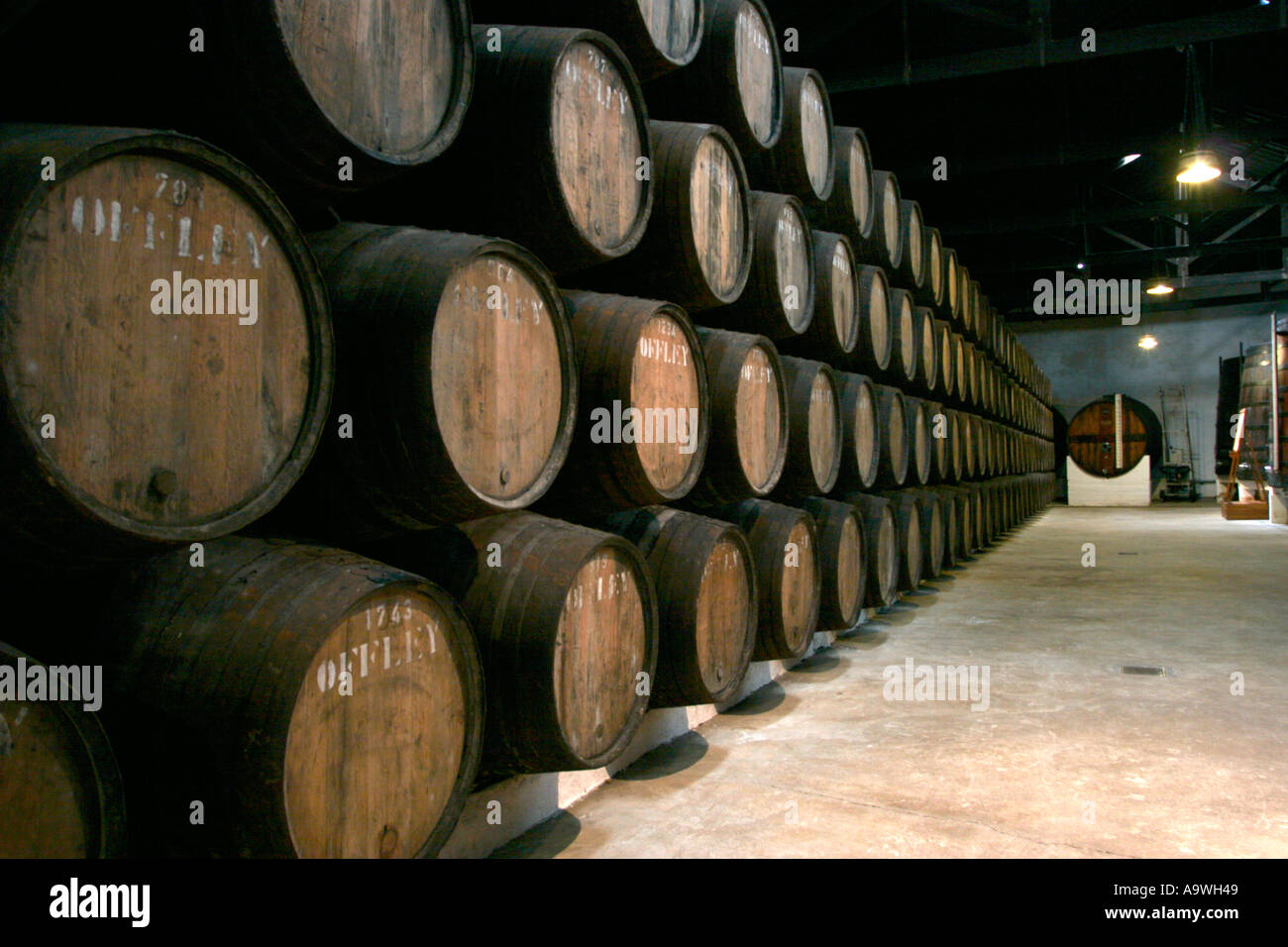 Barils de vin de porto Offley venant à échéance dans les caves de Porto Portugal Banque D'Images