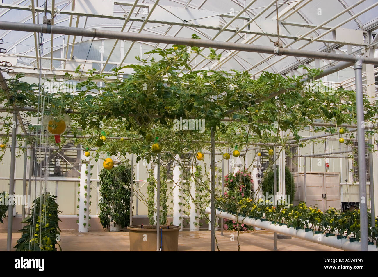 Les cultures expérimentales de la NASA, Epcot Center, Orlando, Floride Banque D'Images