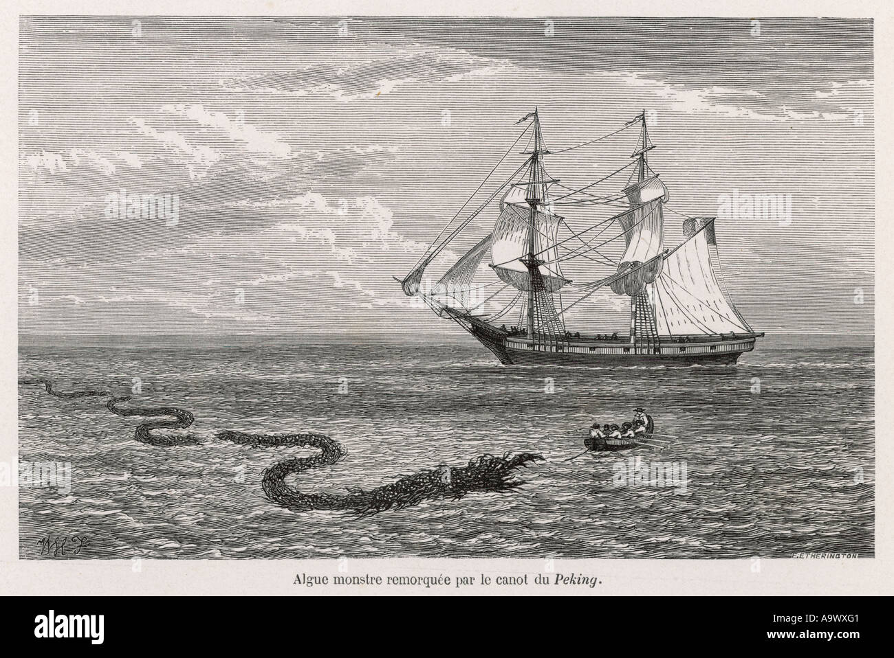 Folklore Serpent de mer Banque D'Images