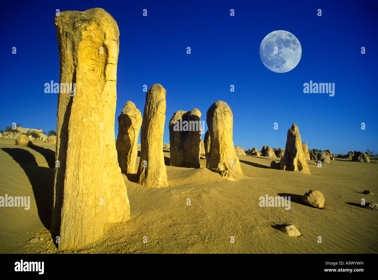 Le PARC NATIONAL DE NAMBUNG PINNACLES DESERT AUSTRALIE L'AUSTRALIE OCCIDENTALE Banque D'Images