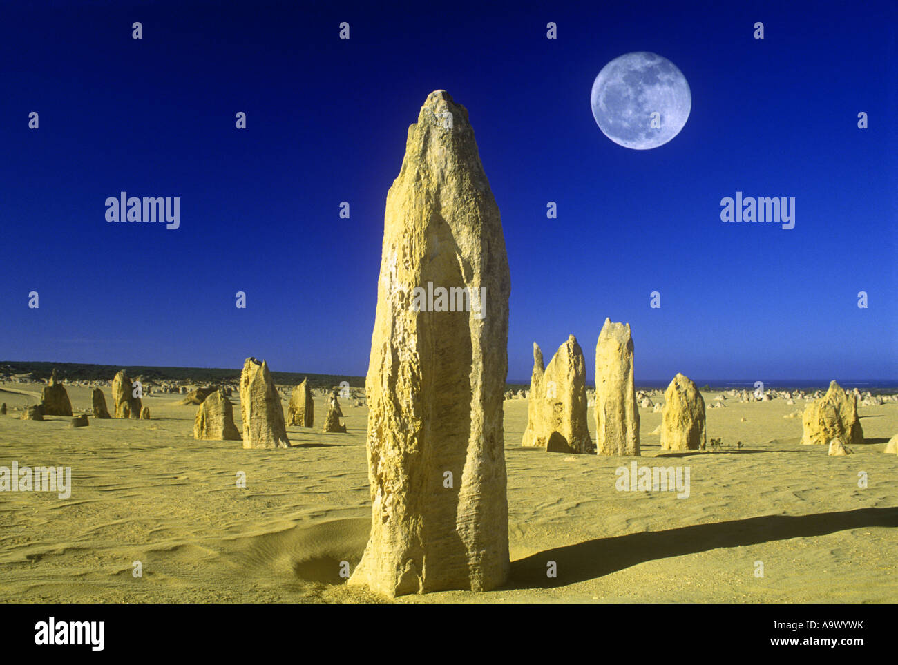 Le PARC NATIONAL DE NAMBUNG PINNACLES DESERT AUSTRALIE L'AUSTRALIE OCCIDENTALE Banque D'Images