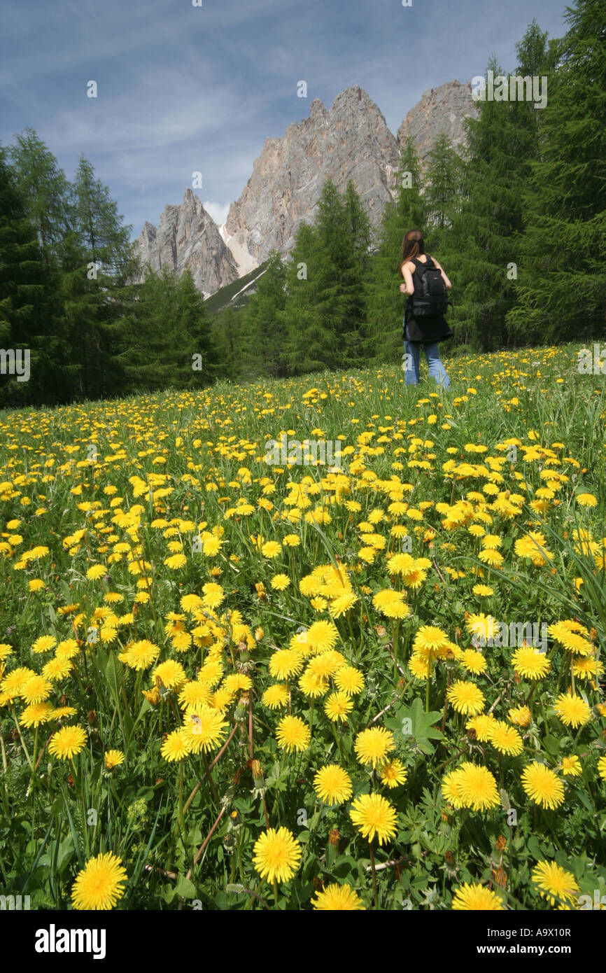 Une femme prend une randonnée dans une clairière alpine Dolomites Italie Banque D'Images