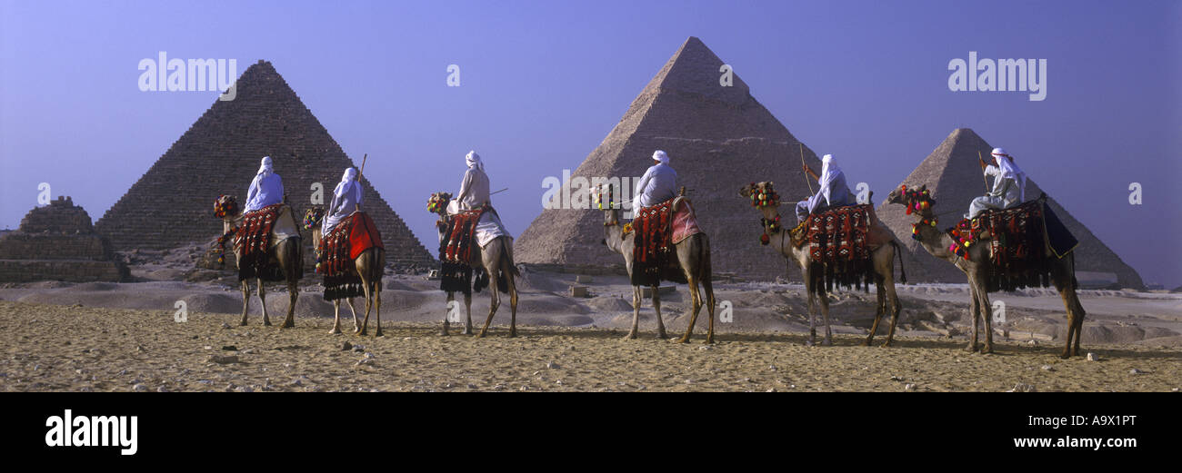 Caravane de chameaux grandes pyramides GIZEH RUINES Le Caire ÉGYPTE Banque D'Images