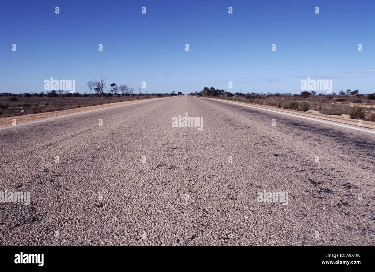 90 km tout droit. Nullabor plain, l'ouest de l'Australie Banque D'Images